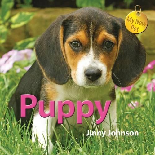 Cover image for Puppy