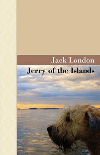 Cover image for Jerry of the Islands