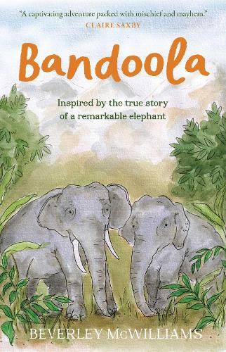 Cover image for Bandoola