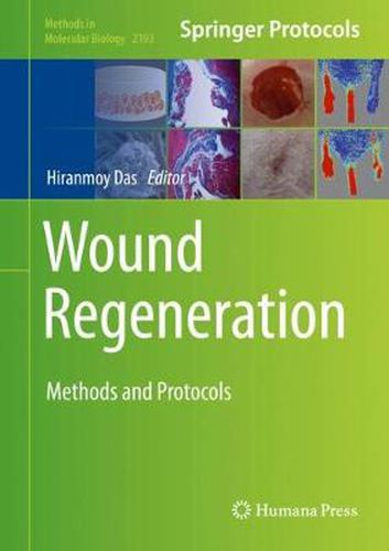 Cover image for Wound Regeneration: Methods and Protocols