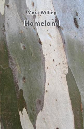 Cover image for Homeland