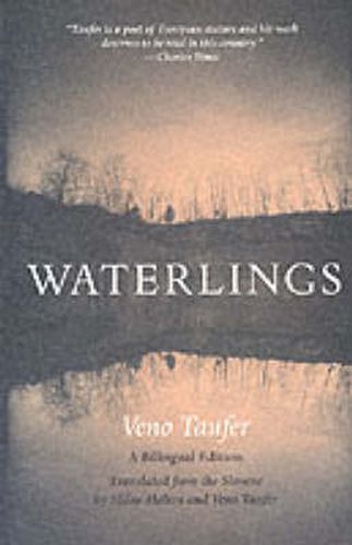 Cover image for Waterlings