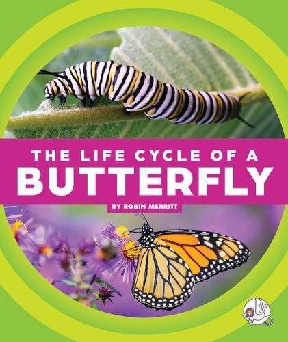 Cover image for The Life Cycle of a Butterfly