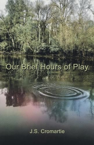 Cover image for Our Brief Hours of Play