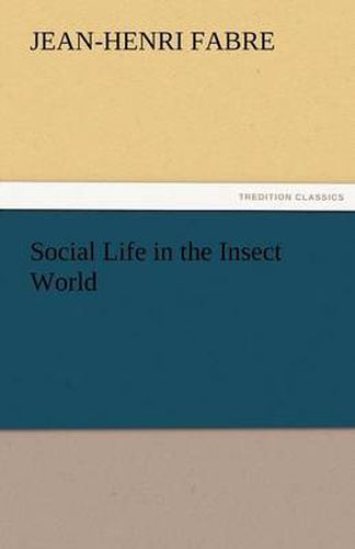Cover image for Social Life in the Insect World