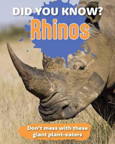 Cover image for Did You Know? Rhinos