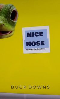 Cover image for Nice Nose