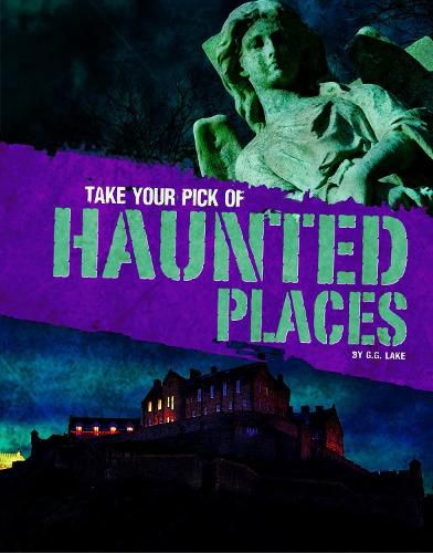 Cover image for Take Your Pick of Haunted Places