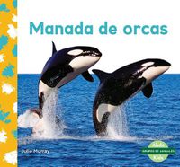 Cover image for Manada de orcas (Orca Whale Pod)