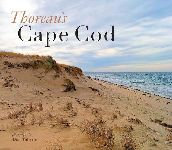 Cover image for Thoreau's Cape Cod