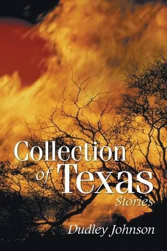 Cover image for Collection of Texas Stories