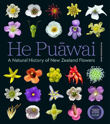 Cover image for He Puawai
