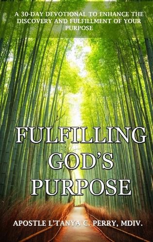 Cover image for Fulfilling God's Purpose