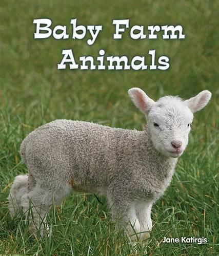 Cover image for Baby Farm Animals