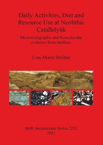 Cover image for Daily Activities Diet and Resource Use at Neolithic Catalhoeyuk: Microstratigraphic and biomolecular evidence from middens