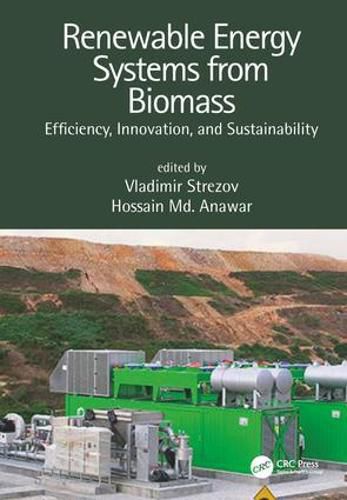 Cover image for Renewable Energy Systems from Biomass: Efficiency, Innovation and Sustainability