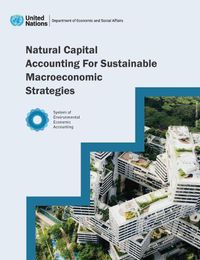 Cover image for Natural capital accounting for sustainable macroeconomic strategies