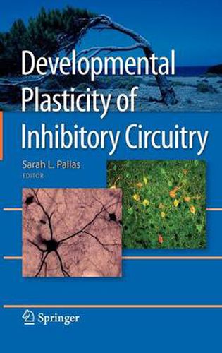 Cover image for Developmental Plasticity of Inhibitory Circuitry