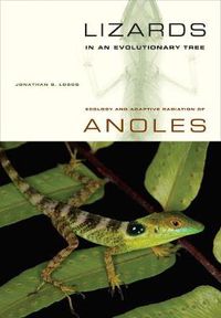 Cover image for Lizards in an Evolutionary Tree: Ecology and Adaptive Radiation of Anoles