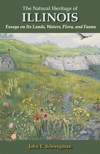 Cover image for The Natural Heritage of Illinois: Essays on Its Lands, Waters, Flora, and Fauna