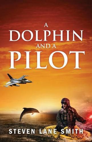 A Dolphin and a Pilot