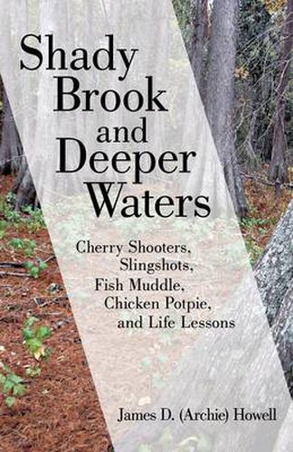 Cover image for Shady Brook and Deeper Waters