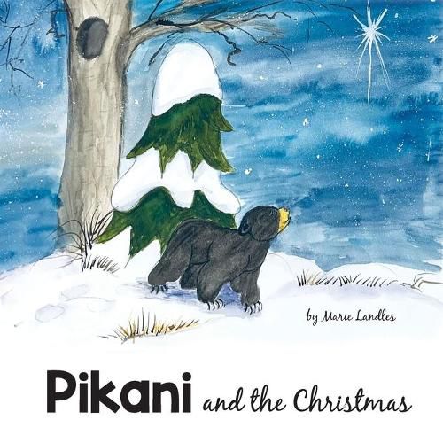 Cover image for Pikani and the Christmas