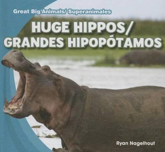 Huge Hippos / Grandes Hipopotamos