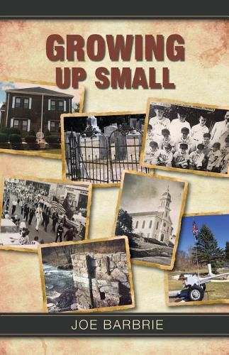 Cover image for Growing Up Small