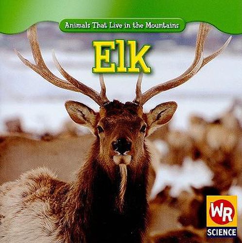 Elk