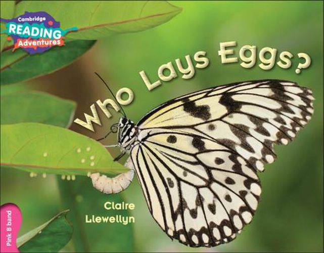 Cover image for Cambridge Reading Adventures Who Lays Eggs? Pink B Band