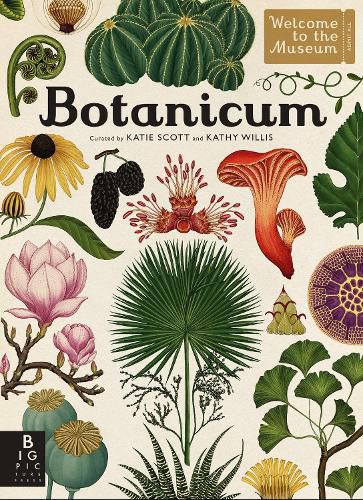 Cover image for Botanicum: Welcome to the Museum