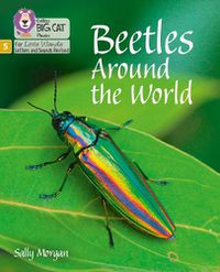 Cover image for Beetles Around the World: Phase 5
