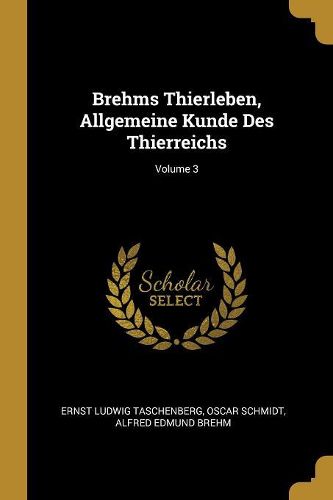 Cover image for Brehms Thierleben, Allgemeine Kunde Des Thierreichs; Volume 3