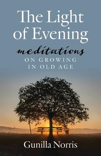 Cover image for The Light of Evening: Meditations on Growing in Old Age