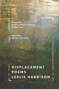 Cover image for Displacement