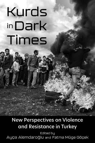 Cover image for Kurds in Dark Times: New Perspectives on Violence and Resistance in Turkey