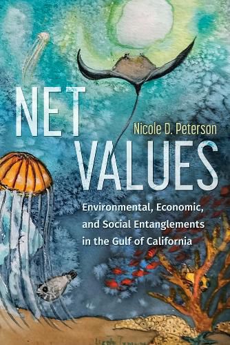 Cover image for Net Values