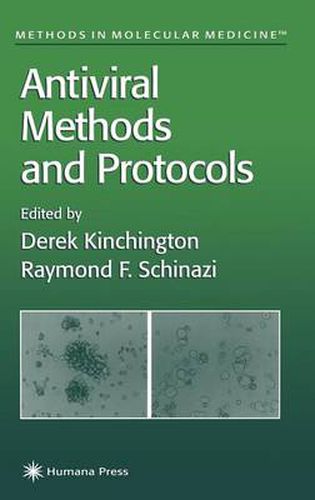 Cover image for Antiviral Methods and Protocols