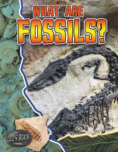 What Are Fossils?