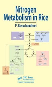 Cover image for Nitrogen Metabolism in Rice