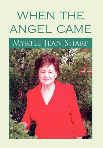 Cover image for When the Angel Came