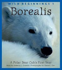 Cover image for Borealis: A Polar Bear Cub's First Year