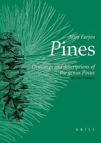 Cover image for Pines, 2nd revised edition: Drawings and Descriptions of the Genus Pinus