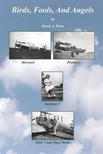 Cover image for Birds, Fools and Angels
