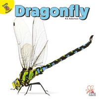 Cover image for Dragonfly