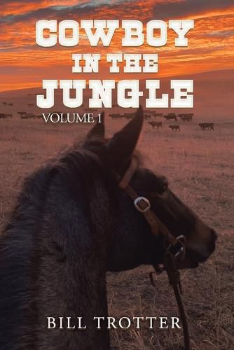 Cover image for Cowboy in the Jungle