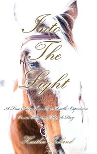 Cover image for Into The Light