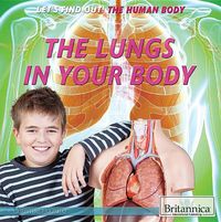 Cover image for The Lungs in Your Body