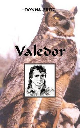 Cover image for Valedor